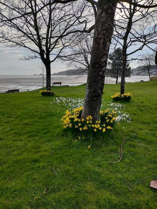 Fishermen'S Cottage With Log Burner, 2 Bathrooms & Sea Views From Garden Terraces The Mumbles Exterior photo